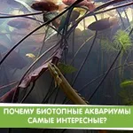 Про акваріумах, тераріумах і ставках для новачків і професіоналів (мовою присвяченим проблемам тераріумістики) Про акваріумах, тераріумах і ставках для новачків і професіоналів