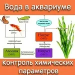 Про акваріумах, тераріумах і ставках для новачків і професіоналів (мовою присвяченим проблемам тераріумістики) Про акваріумах, тераріумах і ставках для новачків і професіоналів