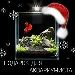 Про акваріумах, тераріумах і ставках для новачків і професіоналів (акваріумах) Про акваріумах, тераріумах і ставках для новачків і професіоналів