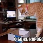Чи не є і товстіти чому ті, хто нічого не їсть, не худнуть (чому) Чи не є і товстіти чому ті, хто нічого не їсть, не худнуть