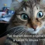 Чи не є і товстіти чому ті, хто нічого не їсть, не худнуть (є) Чи не є і товстіти чому ті, хто нічого не їсть, не худнуть
