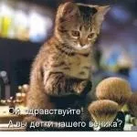 Чи не є і товстіти чому ті, хто нічого не їсть, не худнуть (є) Чи не є і товстіти чому ті, хто нічого не їсть, не худнуть
