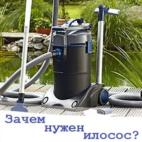 Про акваріумах, тераріумах і ставках для новачків і професіоналів (magazine Журнал RusTerra magazine) Про акваріумах, тераріумах і ставках для новачків і професіоналів