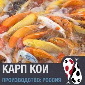 Про акваріумах, тераріумах і ставках для новачків і професіоналів (мовою присвяченим проблемам тераріумістики) Про акваріумах, тераріумах і ставках для новачків і професіоналів