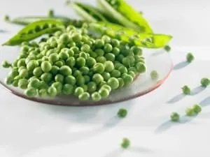 Наживки на коропа - на яку ловити рецепти прикормки своїми руками (наживки) Наживки на коропа - на яку ловити рецепти прикормки своїми руками