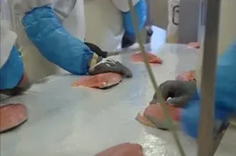Натрію поліфосфат - застосування, купити (придбати) Натрію поліфосфат - застосування, купити