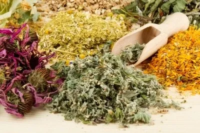 Недостатність кардії шлунка що це таке, симптоми і лікування (таке) Недостатність кардії шлунка що це таке, симптоми і лікування