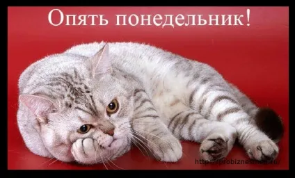 Нове життя з понеділка (починати нове життя) Нове життя з понеділка