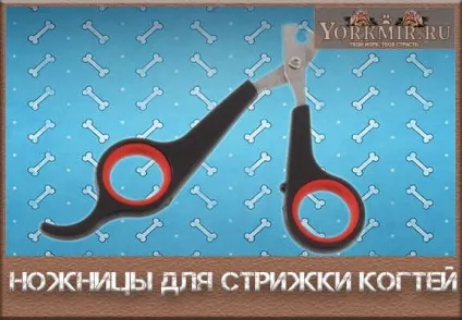 Ножиці для стрижки кігтів у собак, як вибрати, ціна (собак) Ножиці для стрижки кігтів у собак, як вибрати, ціна