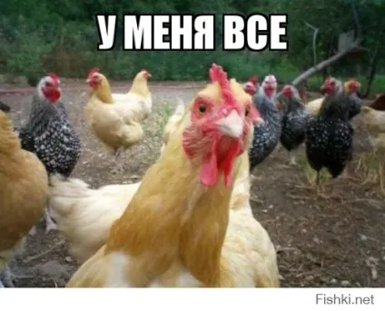 Трошки про особисте життя стюарт, блогер b_a_b_a на сайті 3 травня 2017, пліткар (стюарт) Трошки про особисте життя стюарт, блогер b_a_b_a на сайті 3 травня 2017, пліткар