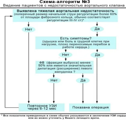 Недостатність аортального клапана - лікування і симптоми, ступеня у дітей і дорослих (симптоми) Недостатність аортального клапана - лікування і симптоми, ступеня у дітей і дорослих