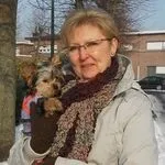 Опис породи йоркширський тер'єр, утримання та догляд, відгуки власників (йоркширський тер'єр утримання та догляд) Опис породи йоркширський тер'єр, утримання та догляд, відгуки власників