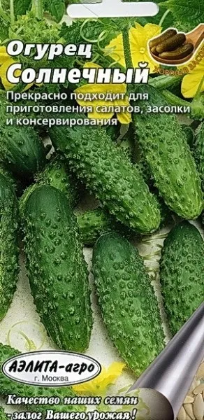 Огірок сонячний опис сорту, характеристика вирощування, відгуки та фото (сонячний) Огірок сонячний опис сорту, характеристика вирощування, відгуки та фото