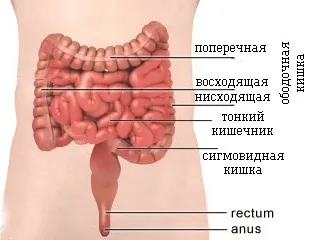 Очищення кишечника в домашніх умовах без клізми народними засобами і медикаментами (очищення) Очищення кишечника в домашніх умовах без клізми народними засобами і медикаментами