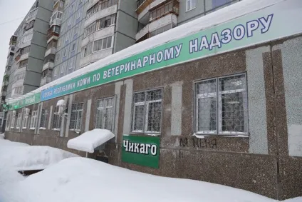 Оргазм без інтиму »або« як я влаштовувалася в еротичний салон »(Яшин) Оргазм без інтиму »або« як я влаштовувалася в еротичний салон »