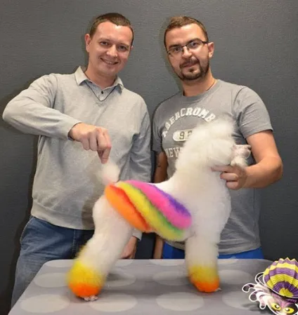 Фарбування собак кого і як фарбують (фарбувати собак наскільки) Фарбування собак кого і як фарбують
