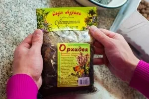 Орхідея каттлея догляд, пересадка і розмноження в домашніх умовах