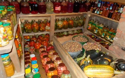 Оздоблення льоху чим краще обшити стіни зсередини