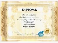 Розплідник британських золотих і сріблястих шиншил (розплідник) Розплідник британських золотих і сріблястих шиншил