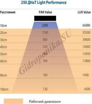 Par характеристика різних ламп led vs ДНаТ (були вимірюється допомогою) Par характеристика різних ламп led vs ДНаТ