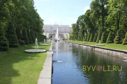 Петергоф відкриття фонтанів, режим роботи і ціни, як дістатися до Петергофа (петергоф) Петергоф відкриття фонтанів, режим роботи і ціни, як дістатися до Петергофа