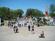 Підкажіть, де дешевше брати екскурсії в Коста Дорада