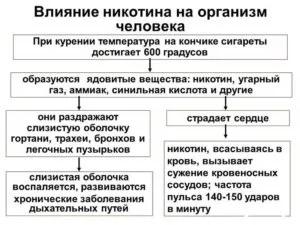 Чому не можна курити натщесерце і на голодний шлунок (не можна) Чому не можна курити натщесерце і на голодний шлунок