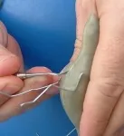 Порожня модель коні - крок за кроком (модель) Порожня модель коні - крок за кроком
