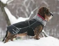 Попона для собак