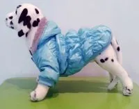 Попона для собак
