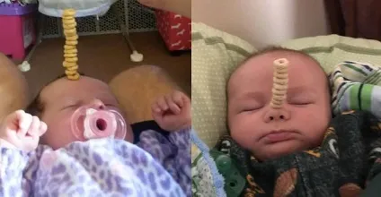Поки діти сплять, їх тата веселяться як можуть! Фактрум (жарт) Поки діти сплять, їх тата веселяться як можуть! Фактрум