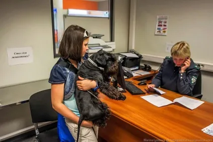 Пізнавально перевезення тварин в літаку (перевезення) Пізнавально перевезення тварин в літаку