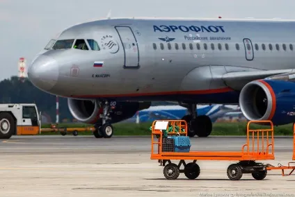 Пізнавально перевезення тварин в літаку, фото новини (тварин) Пізнавально перевезення тварин в літаку, фото новини