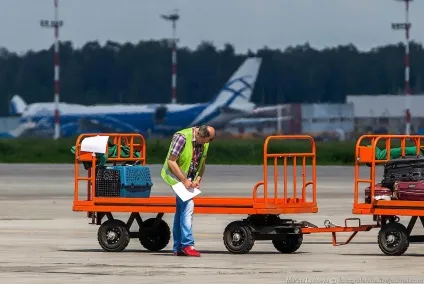 Пізнавально перевезення тварин в літаку (літаку) Пізнавально перевезення тварин в літаку