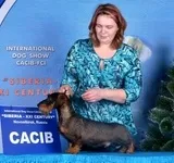 Притулок для собак - добрий будинок (собак) Притулок для собак - добрий будинок