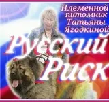 Притулок для собак - добрий будинок (притулок) Притулок для собак - добрий будинок