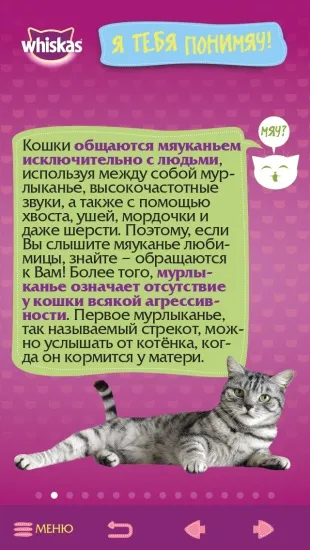 Додаток «самяучітель»