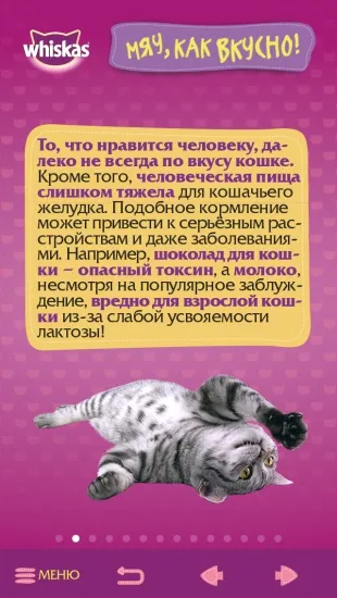 Додаток «самяучітель»
