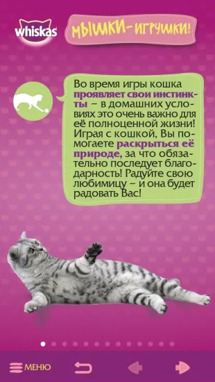 Додаток «самяучітель»