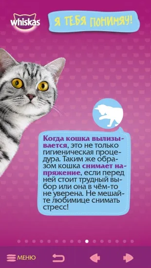Додаток «самяучітель»