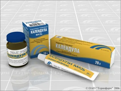 Застосування календули, її лікувальні властивості і протипоказання (ерозії шийки матки) Застосування календули, її лікувальні властивості і протипоказання