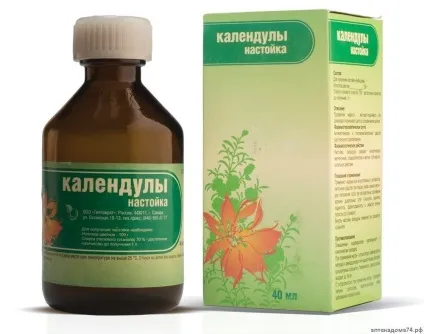 Застосування календули, її лікувальні властивості і протипоказання (лікувальні) Застосування календули, її лікувальні властивості і протипоказання