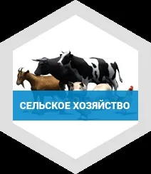 Radex, ми є виробником сучасних хімічних засобів (виробником) Radex, ми є виробником сучасних хімічних засобів