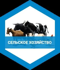 Radex, ми є виробником сучасних хімічних засобів (сучасних) Radex, ми є виробником сучасних хімічних засобів