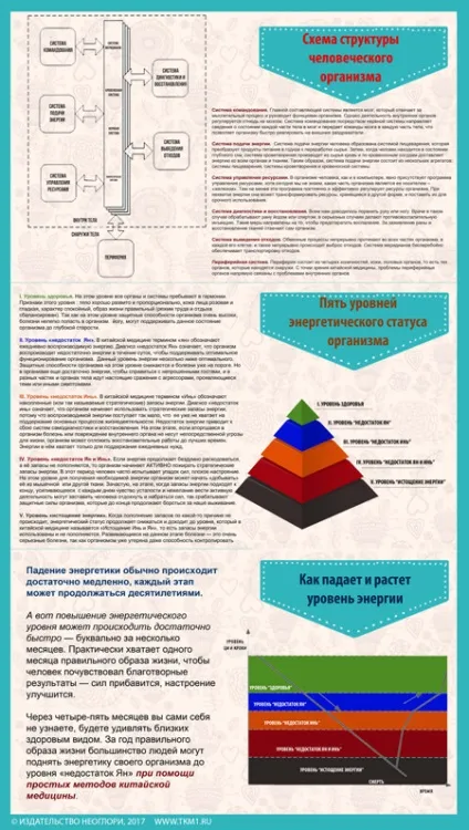П'ять основних рівнів енергетичного статусу організму - секрети китайської медицини