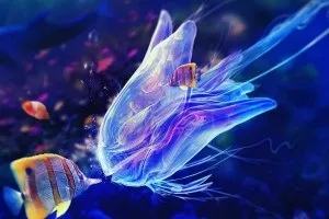 Рідкісні гості морського акваріума - коник і медуза (акваріума) Рідкісні гості морського акваріума - коник і медуза