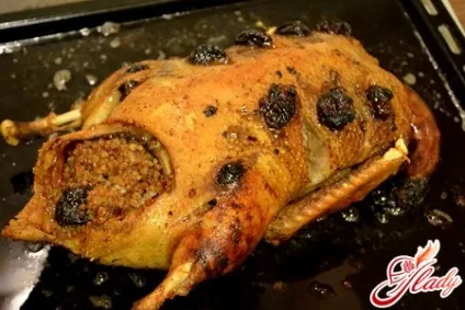 Рецепт качка з гречкою