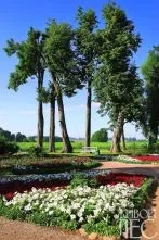 Сад в українському стилі - інтернет-журнал «живий ліс» (побуту особливості клімату ландшафту) Сад в українському стилі - інтернет-журнал «живий ліс»