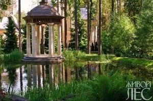 Сад в українському стилі - інтернет-журнал «живий ліс» (російською) Сад в українському стилі - інтернет-журнал «живий ліс»