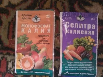 Сакура (листя, дерево, чагарник) вирощування з насіння в домашніх умовах на дачі (домашніх) Сакура (листя, дерево, чагарник) вирощування з насіння в домашніх умовах на дачі